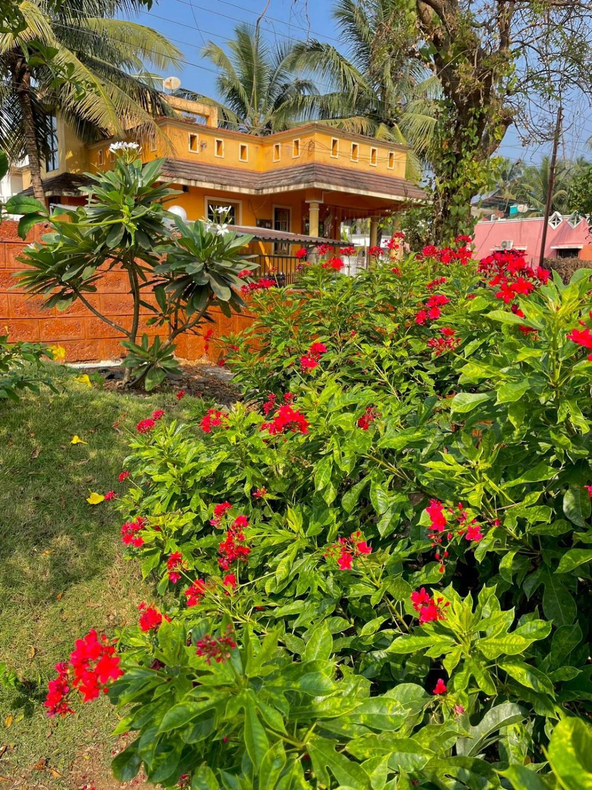 Scarlet Resort Alībāg Extérieur photo